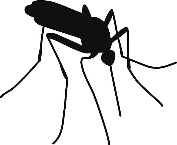 New rapid tests available: Zika, Chikungunya and Dengue